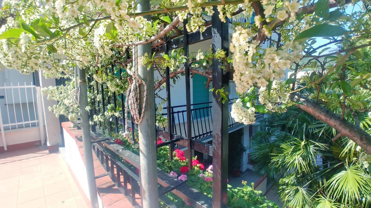 Residence Oleandro 皮特拉利古 外观 照片