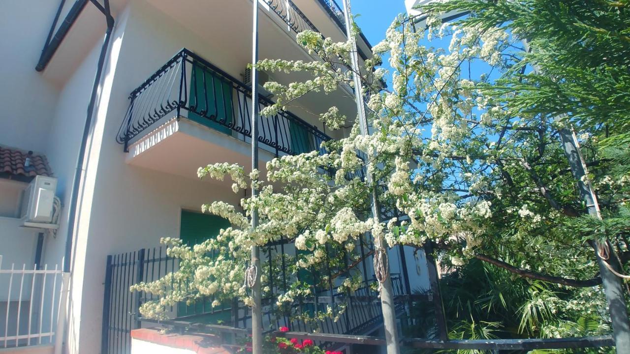 Residence Oleandro 皮特拉利古 外观 照片